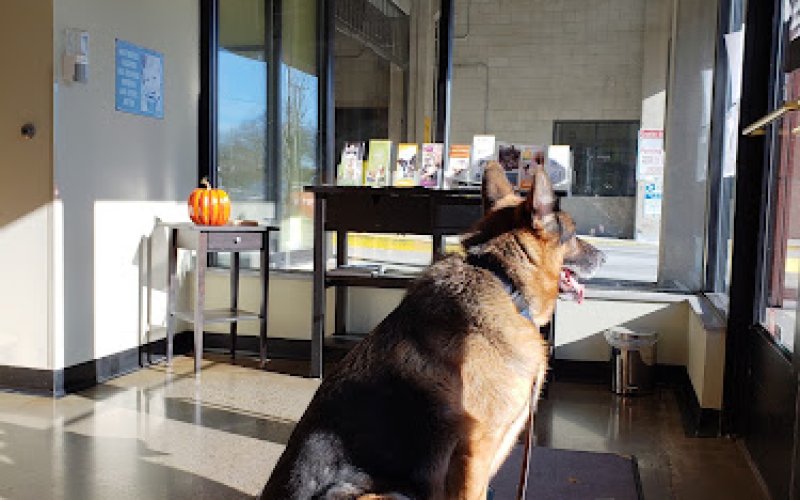 Veterinary Wellness Center of New Haven