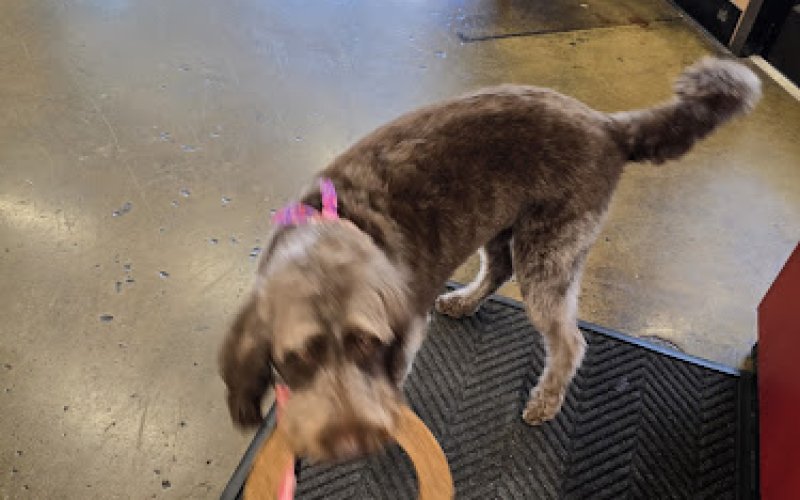 Care-A-Lot Pet Supply Oyster Point