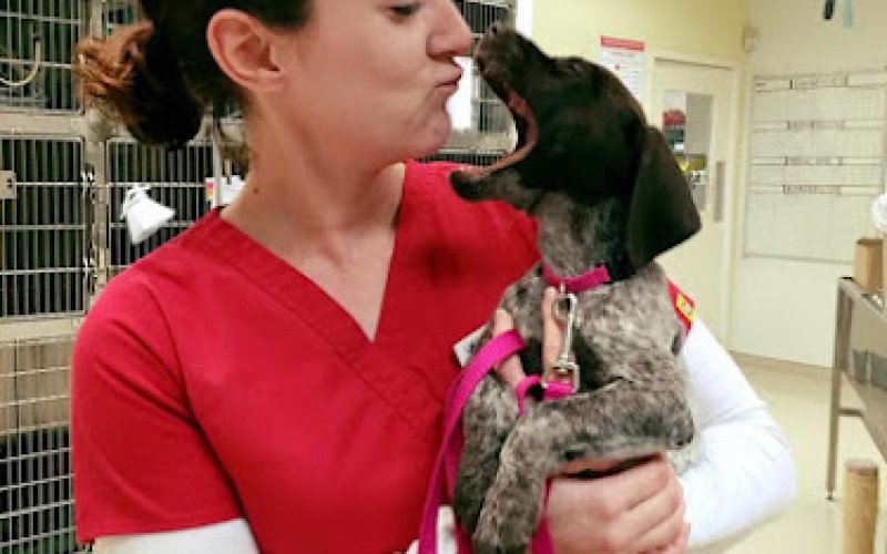 Kiln Creek Animal Care