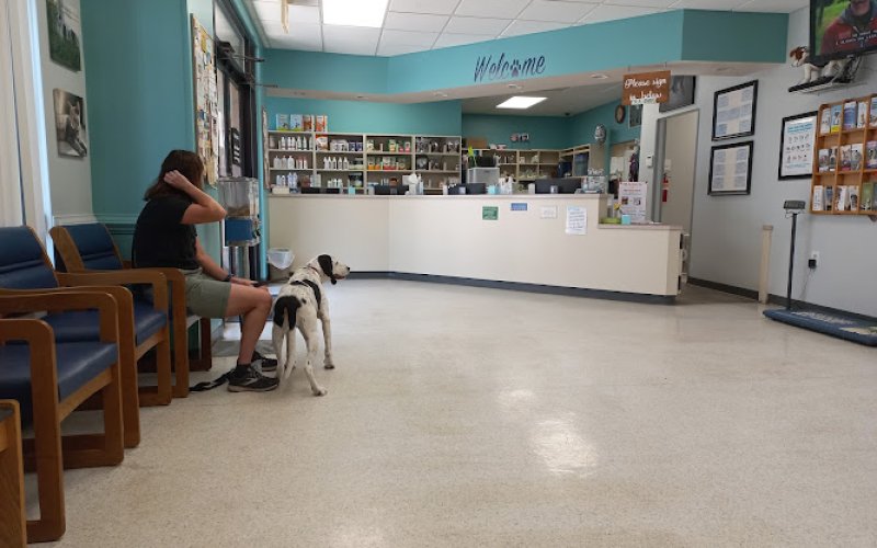 Dog & Cat Hospital