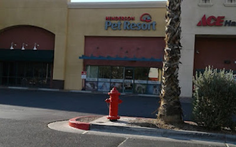 Pet Resort & Spa — Animal hospital in North Las Vegas