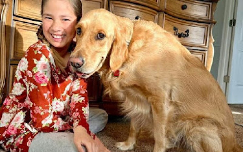 Alicia's Pet Care