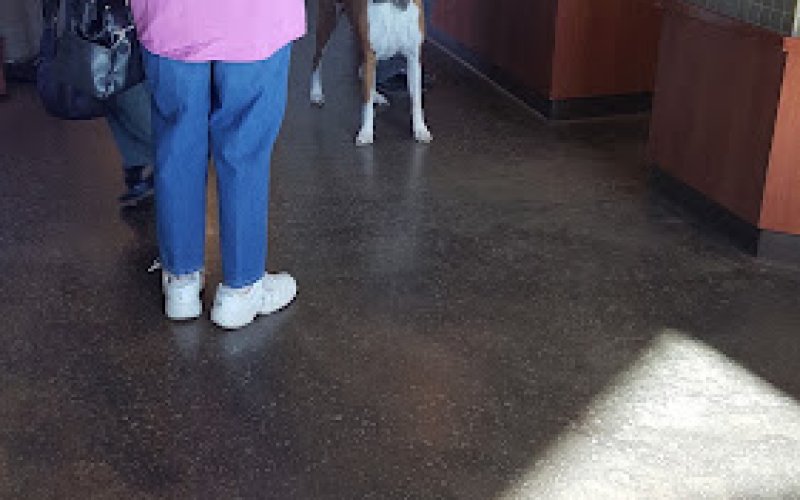 Caring Hands Veterinary Hospital (CHVH)