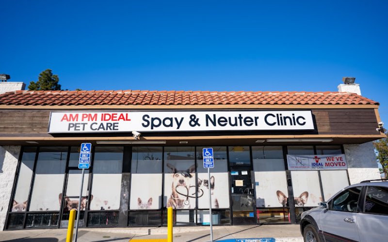 AM PM Spay & Neuter Clinic
