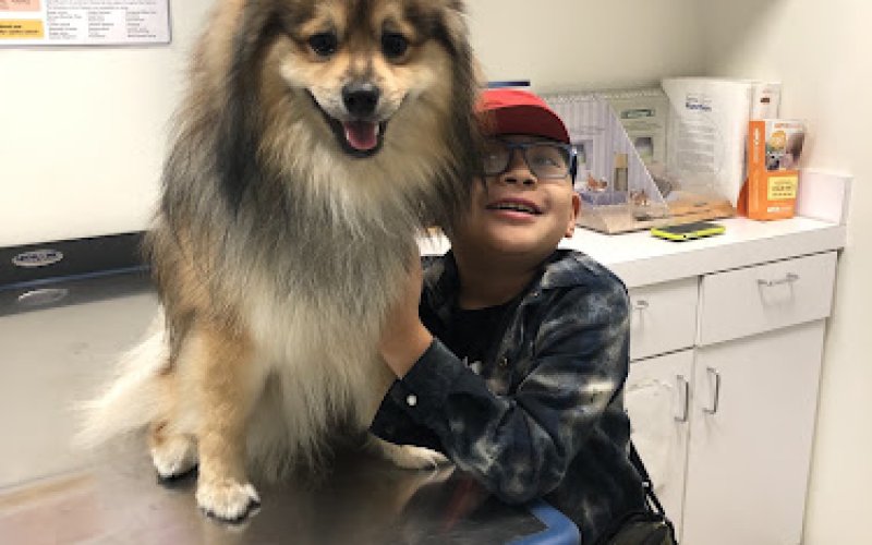 JH Animal Hospital