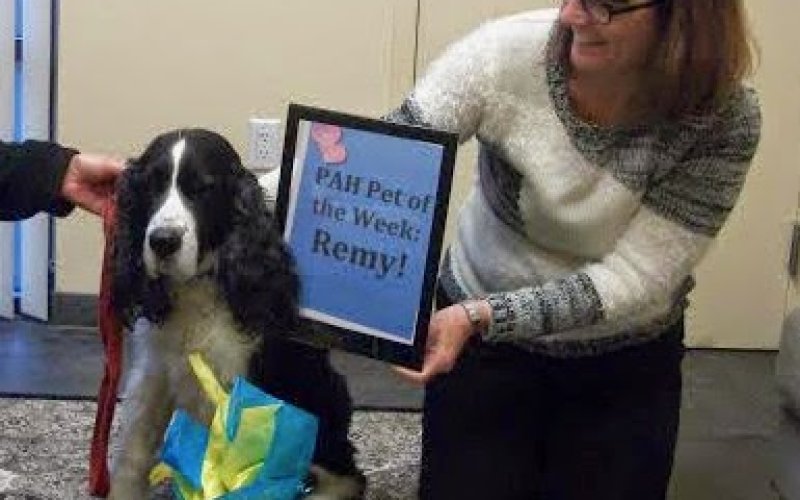 Pacific Animal Hospital