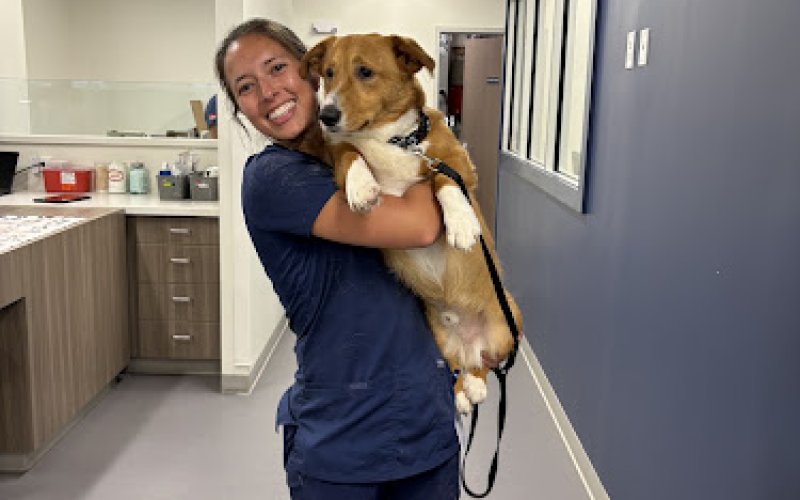 Advanced Veterinary Care of Olathe