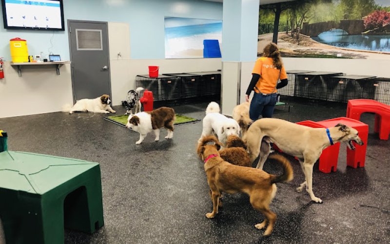 Dogtopia of Olathe