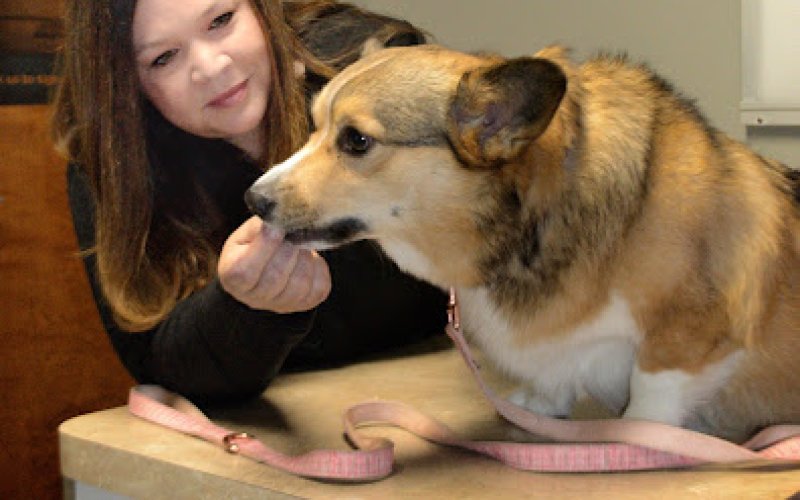 Winchester Pet Care Center