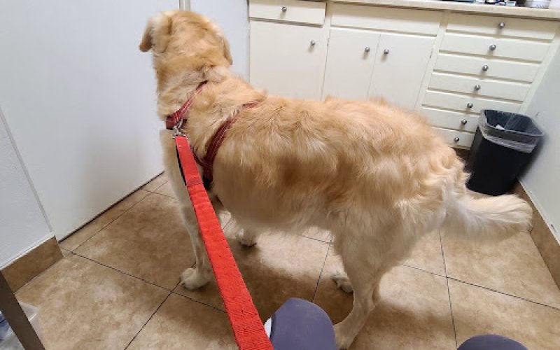 Mountain Avenue Animal Hospital