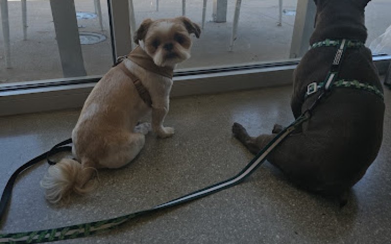 Ontario Ranch Pet Clinic