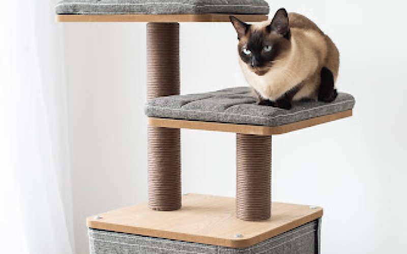 PetPals Group, Inc.