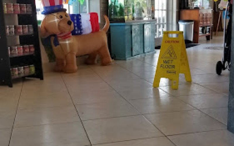 Animal Medical Clinic of Orlando