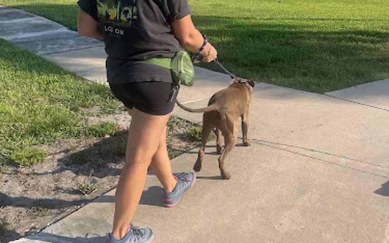 Handled With Love PetCare LLC