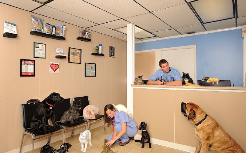 Palm Bay Animal Clinic — Veterinarian in Palm Bay