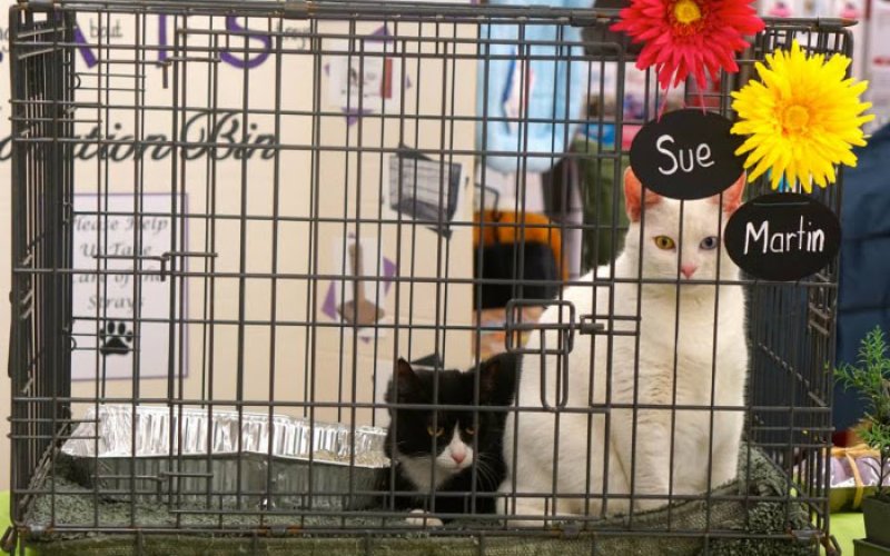 J-B Pet Supplies — Pet supply store in Paterson