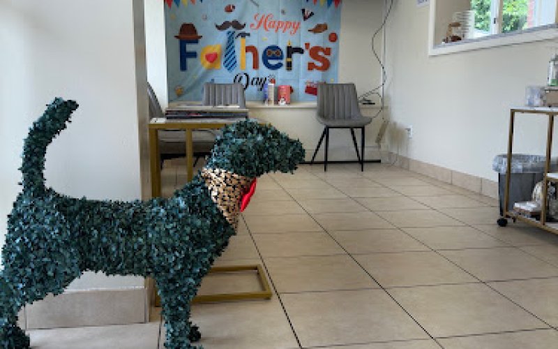 Lincoln Avenue Cat & Dog Hospital