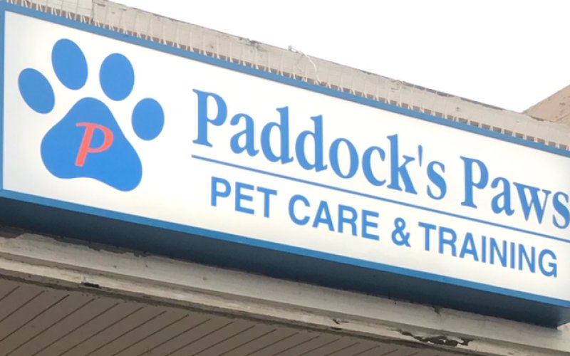 Paddock's Paws Pet Care & Training