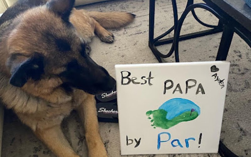 Parkway Animal Clinic