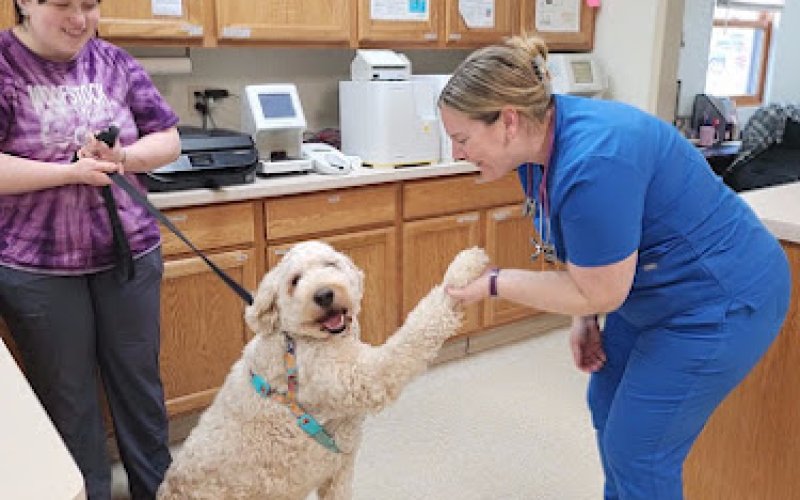 Brown Animal Hospital
