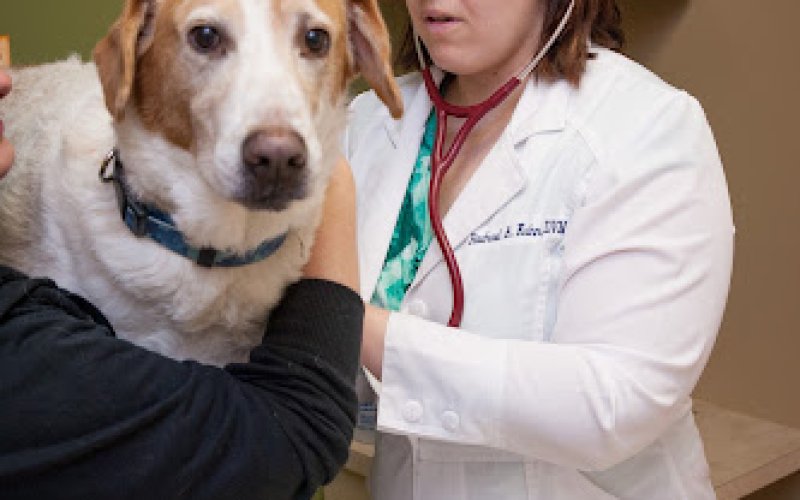 Prairie Animal Hospital
