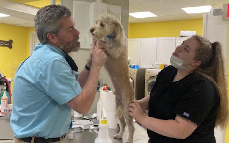 McClendon Veterinary Clinic — Veterinarian in Monroe