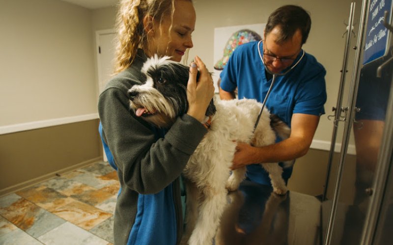 Ouachita Pet Clinic — Veterinarian in Monroe