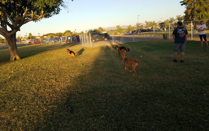 Shadow Mountain Pet Care