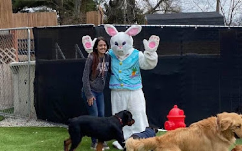 Pittsburgh Pet Concierge Luxury Pet Boarding Resort