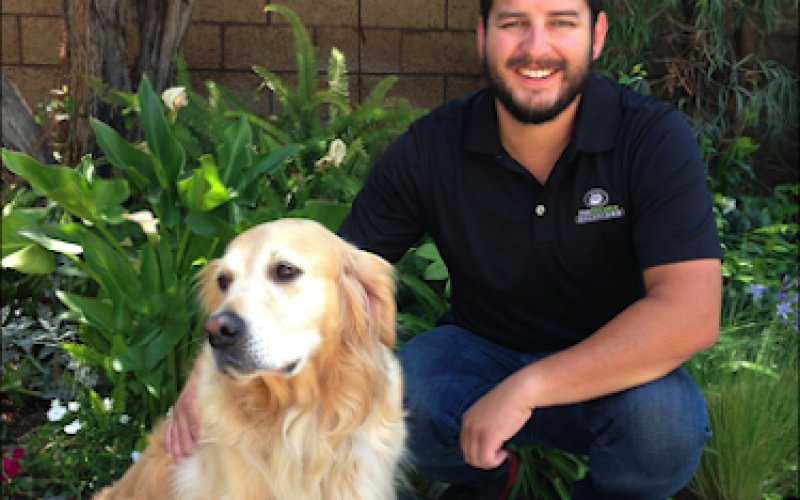 Pet Service Solutions