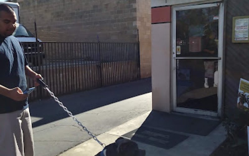 Pomona Animal Hospital