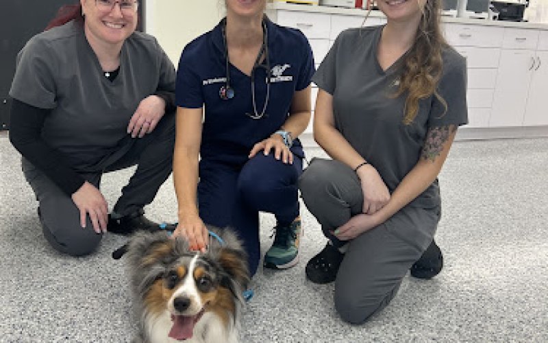 FastTrack Veterinary Urgent Care