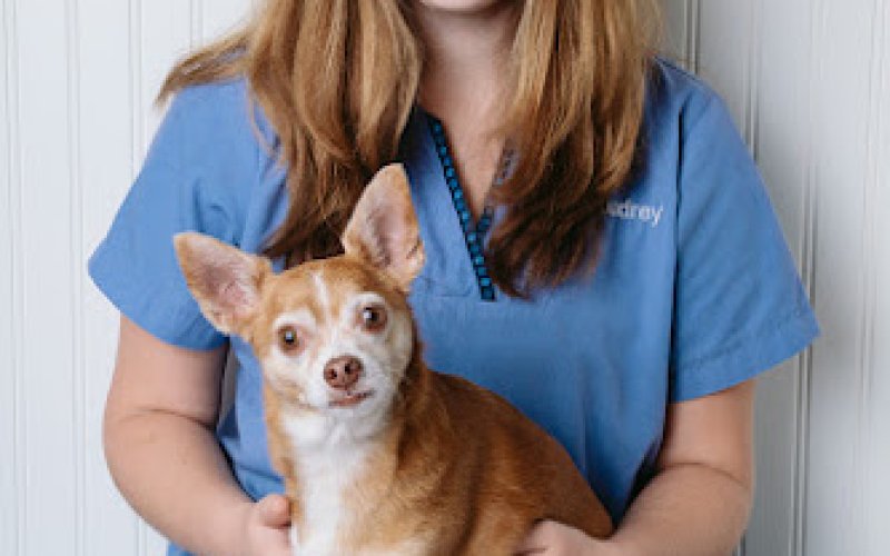 Providence River Animal Hospital