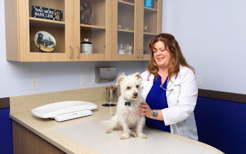 Valley Animal Hospital