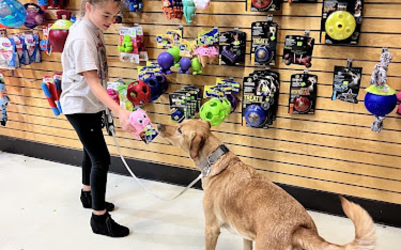 PetVet PetFood