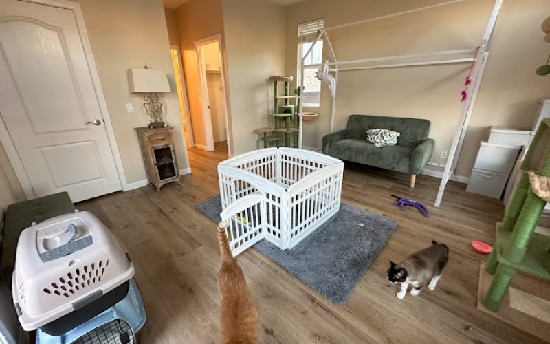 Glen Hollow Pet Home