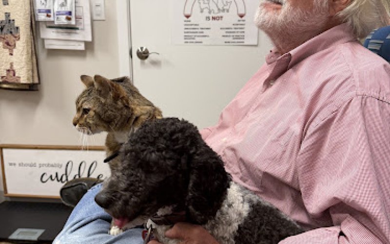 Homeward Bound Animal Clinic