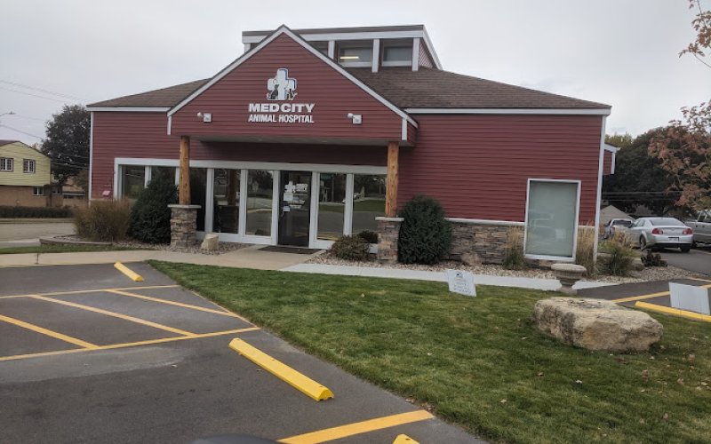 Med City Animal Hospital