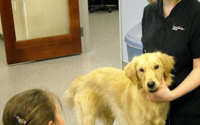 Orchard View Veterinary Center