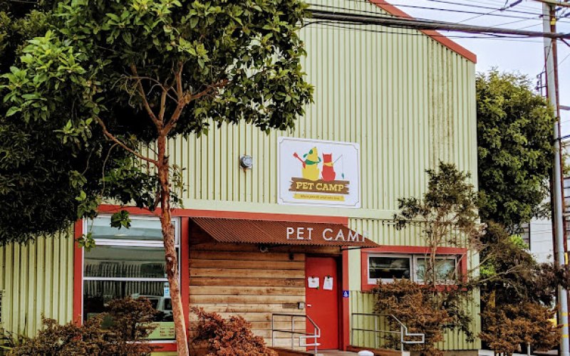 Pet Camp San Francisco