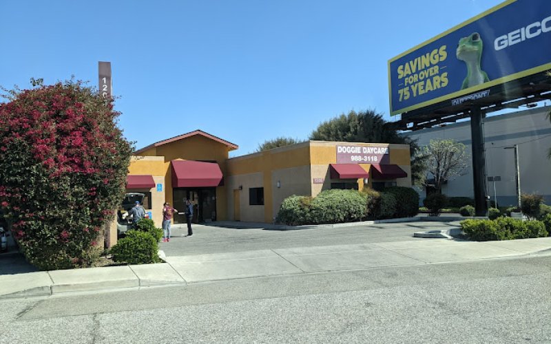 A Pet Villa Pet Boarding Daycare and Grooming