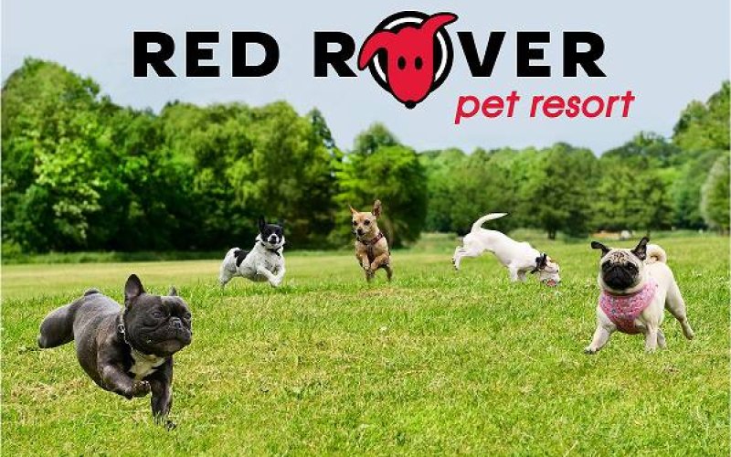 Red Rover Pet Resort