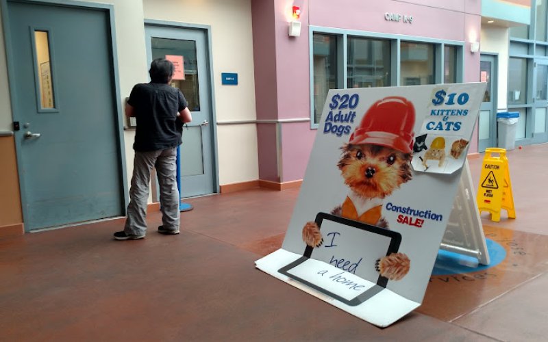 San José Animal Care Center