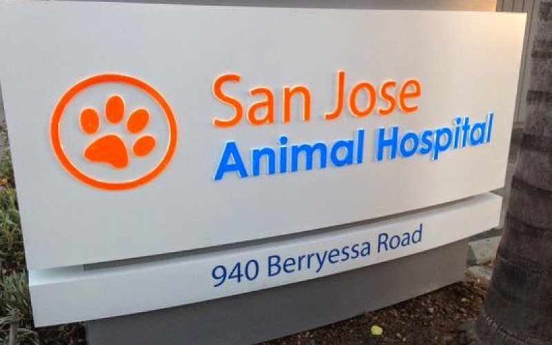 San Jose Animal Hospital, A Thrive Pet Healthcare Partner