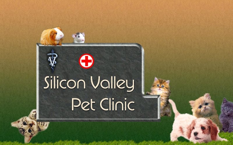 Silicon Valley Pet Clinic