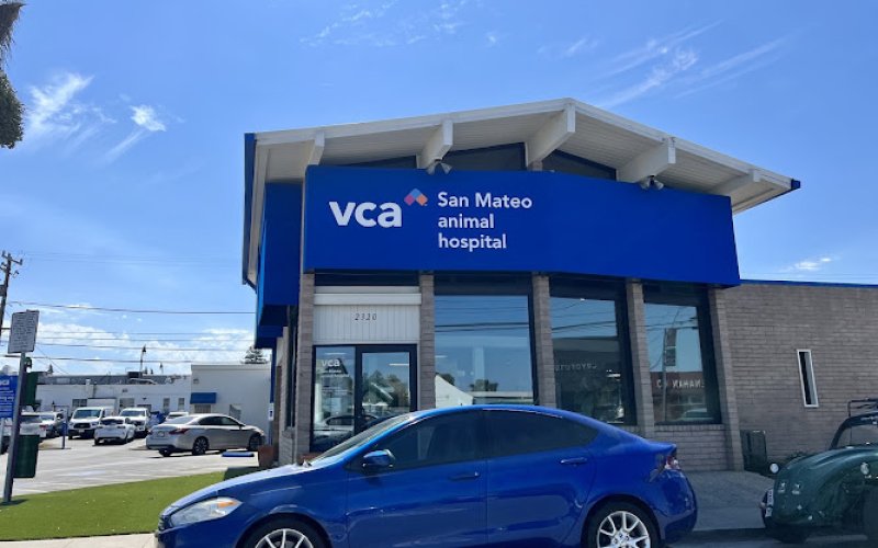 VCA San Mateo Animal Hospital — Veterinarian in San Mateo