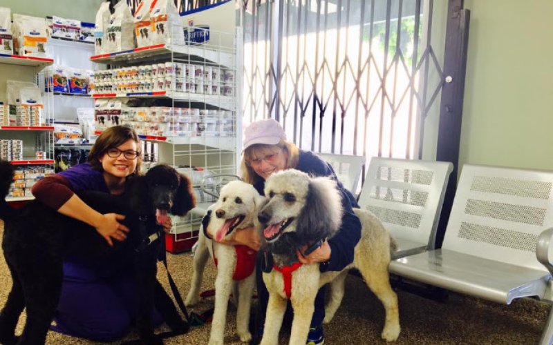 South Coast Pet Hospital