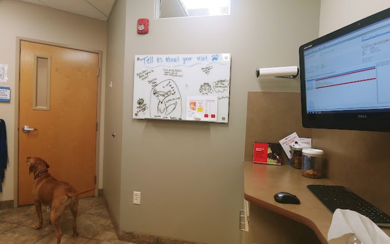 Lovet Pet Health Care - Scottsdale Hills