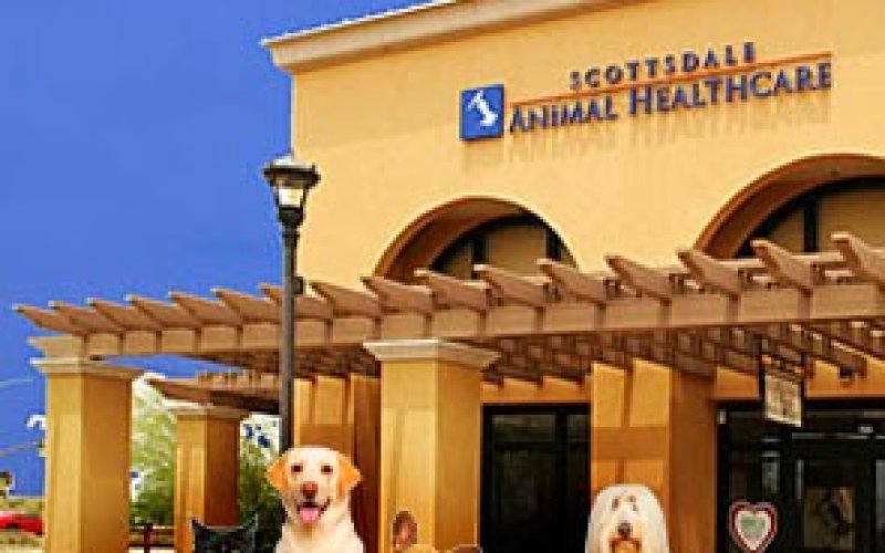 Scottsdale Animal Healthcare