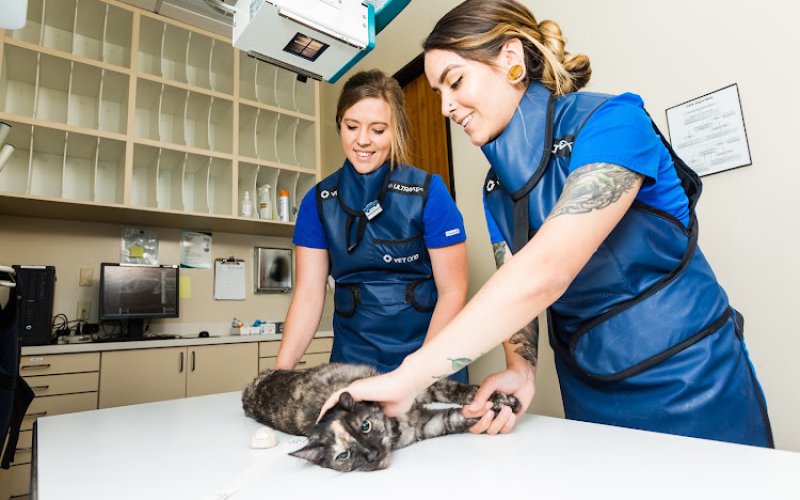Thrive Pet Healthcare Specialists North Scottsdale